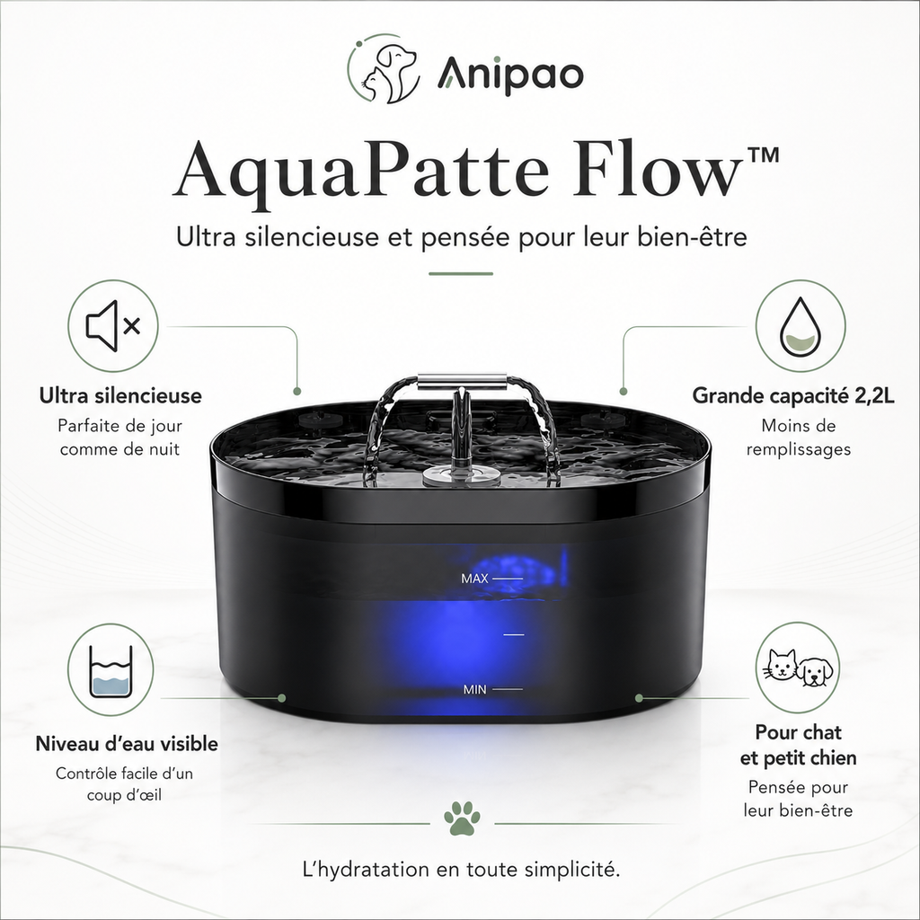 AquaPatte Flow™