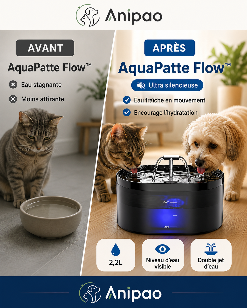 AquaPatte Flow™
